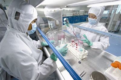 MOVAS貼壁傳代培養細胞系價格 產地:上海市張江高科技園區 品牌:DSMZ、ATCC、RIKEN等細胞庫 廠家:上海鼎達生物科技