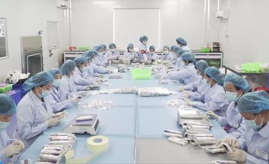 快訊!海滄→1354.1億元!生產線全開…