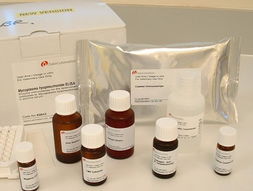 乳酸鋰867 55 0 供應(yīng)產(chǎn)品 上海義森生物科技