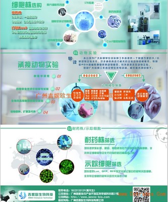 誘發(fā)性腫瘤動物模型 吉妮歐生物科技