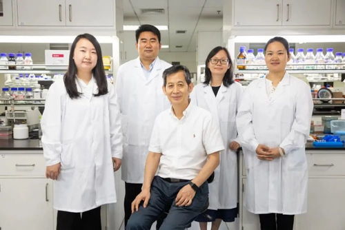 重大突破刷屏 中國實現(xiàn)二氧化碳合成淀粉,背后的合成生物技術(shù)是什么來頭