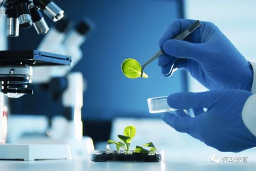 教育部統(tǒng)計(jì)數(shù)據(jù) 這8個(gè)專業(yè)的學(xué)生已經(jīng)嚴(yán)重飽和, 報(bào)考千萬要謹(jǐn)慎